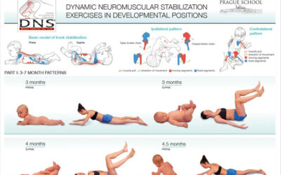 DNS exercise คืออะไร