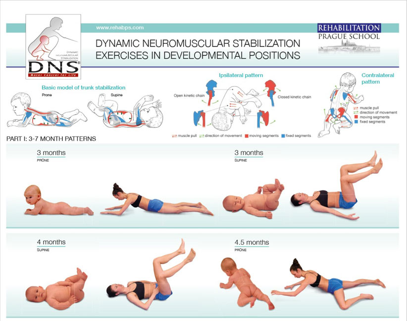 DNS exercise คืออะไร